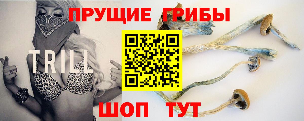 купить   Галлюциногенные грибы Psilocybine cubensis  Вход с VPN  Канаш 
